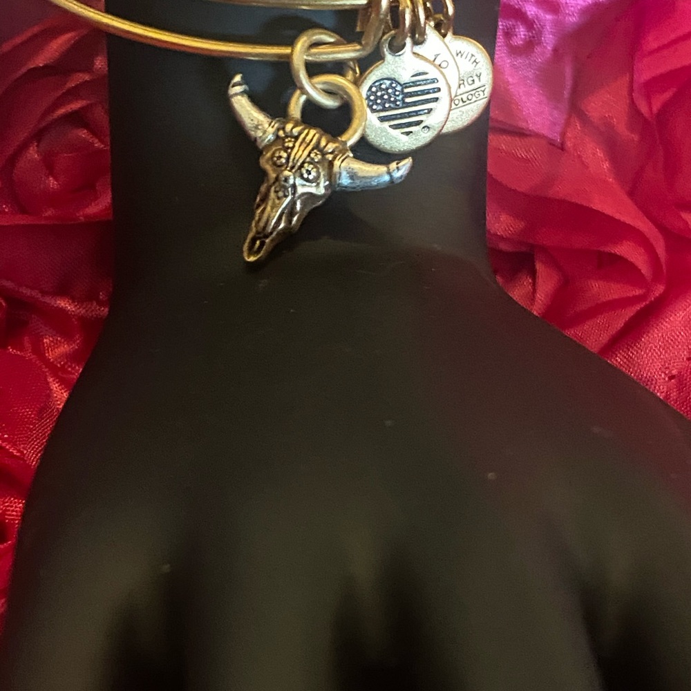 Alex and Ani Spirited Skull Charm Expandable Wire - Picture 4 of 5